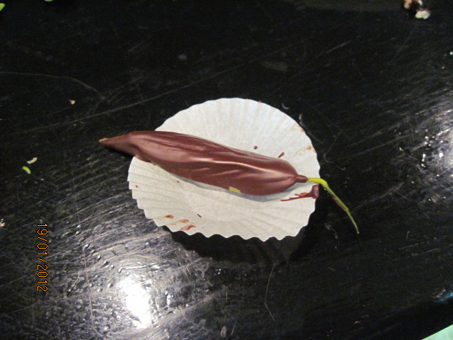 סדנת שוקולד 2012